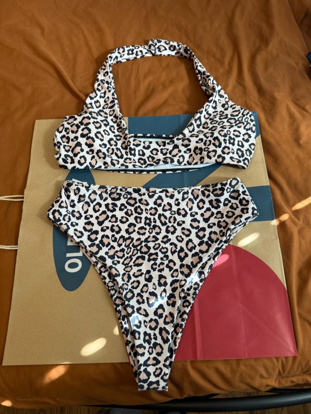 SHEIN Leopard Print Bikini Set in Black & Cream